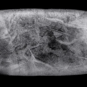 Le Grand Paradis (Pain de glace)